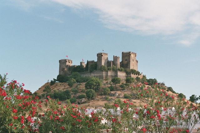 Castle of Almodóvar del Río